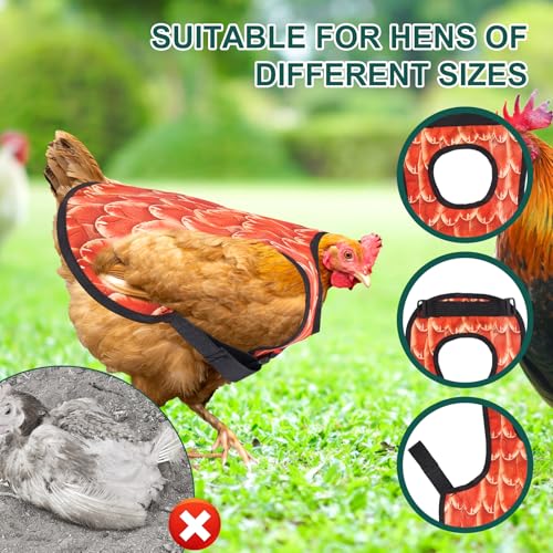 3 Stück Hühnersattel, Huhn Weste, Adjustierbarer Schutzschürze Wasserdicht Hühnerbekleidung, Atmungsaktive Verschleißfester Hühnersattelschürze, für Geflügelstall und Hühnerhaltung