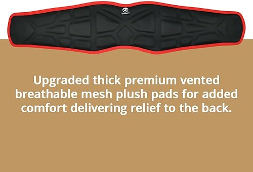 Miniatura 6 de AFP Cinturón de cintura de alta resistencia con 2 anillos en D con hebilla de lengüeta costuras de primera calidad (OSHAANSI PPE)