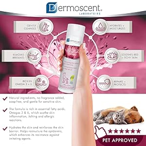 Dermoscent ATOP 7 Shampoo for Dogs & Cats - Allergies & Itchy Skin Relief - Natural Ingredients - Helps Soothe Dermatitis & Atopic Skin - 200 ml Dermoscent ATOP 7 Shampoo for Dogs & Cats – Allergies & Itchy Skin Relief – Natural Ingredients – Helps Soothe Dermatitis & Atopic Skin – 200 ml