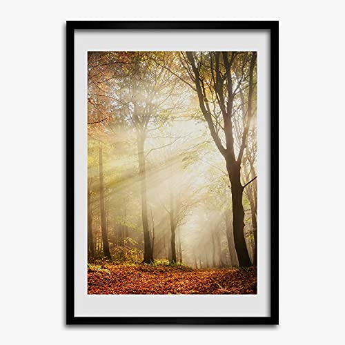 Cadre MDF 50x70 cm Tulup avec photo de forêt d'automne pour décoration murale