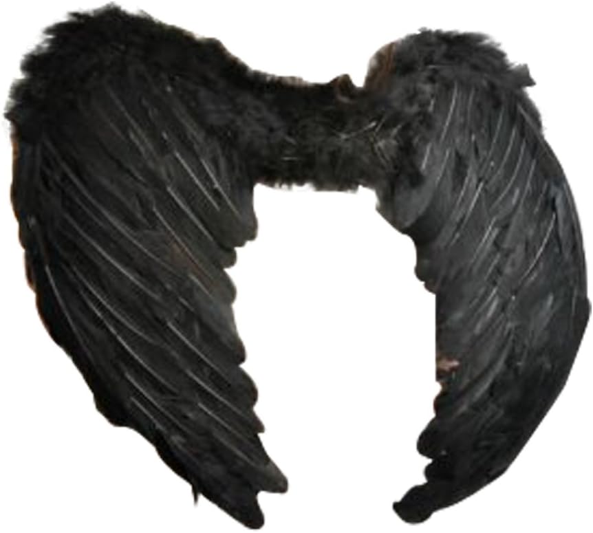 Macallen43cm Wide Angel Fairy Feather Wings in Black