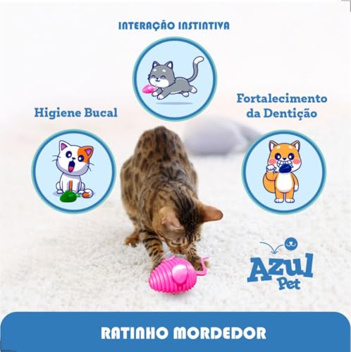 Kit com 2 Brinquedos para Gatos Ratinhos Coloridos, Mordedor em Plástico, 7 x 3 cm