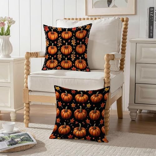 Taie oreiller double face imperméable 70x70 cm avec fermeture éclair