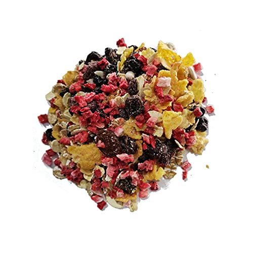 ERDBEER BIO MÜSLI I 5% gefriergetrocknete Frucht I ohne Zuckerzusatz (enthält von Natur aus Zucker) I Vegan I Haferflocken I Weinbeeren I 600g