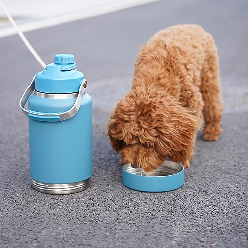 Image of BJPKPK 64oz Insulated Water Bottles, Dishwasher Safe Half gallon Water Bottle with Metal Handle, BPA Free Spout Lid & Detachable Bowl, Large Stainless Steel Jugs, Grey