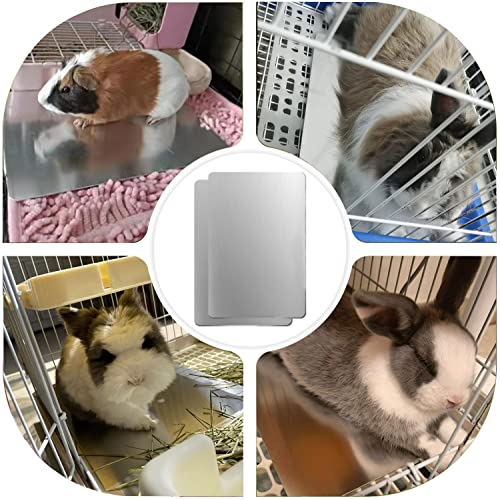 PeSandy Rabbit Cooling Pad - Image 4