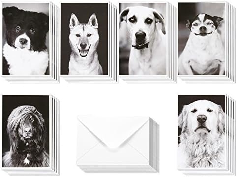 Blank Rescue Dogs Greeting Cards with Envelopes (Black & White, 4x6 In, 36 Pack)