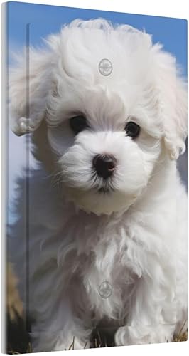 Miniatura 2 de Bichon Frise - Placas de arte impresas para perro, 1 banda, placas decorativas de pared, cubierta de interruptor de luz, placas de interruptor de