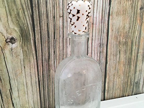 Antique Wyeth & Bro Philada Vintage Glass Bottle with Unique Cone Shell Design - Image 8