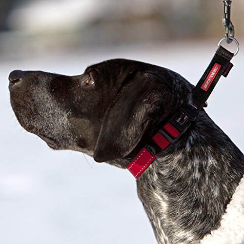 ezydog checkmate collar