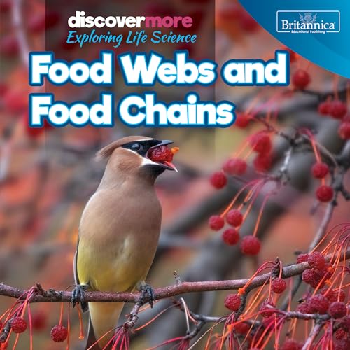 Food Webs and Food Chains (Discover More: Exploring Life Science)