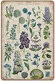 Photo Gallery ubvjed stampa vintage con piante blu, poster botanico, decorazione da parete in metallo, decorazione da parete per uomo, grotta, bar, casa, regalo per mamma, papà e amici, 20,3 x 15,2 cm Photo Gallery ubvjed stampa vintage con piante blu, poster botanico, decorazione da parete in metallo, decorazione da parete per uomo, grotta, bar, casa, regalo per mamma, papà e amici, 20,3 x 15,2 cm