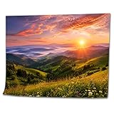 What Will You Get: This paint by numbers kit for adults includes a 16" x 20" professional textured canvas (unframed), 3 nylon brushes, a set of acrylic paints. Customization is supported! Please let us know if you require customization before purchas...