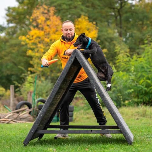 Bull Fit Beisswurst für Hunde, 30 cm mit Handschlaufe - Sehr Robustes Hundespielzeug zum Training, Tauziehen und Zerrspiele mit Hund - Aus hochwertigem Feuerwehrschlauch handgefertigt, orange