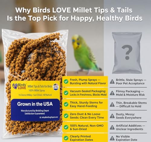 Birds LOVE Millet Tips & Tails for Birds - Parakeets, Cockatiels, Lovebirds, Finches, Budgies, Canaries, Cockatoos - Natural & Healthy Millet for Birds - Parakeet Food & Treats for All Parrots, 1lb - Image 4