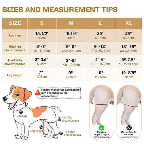 Image of Dog Knee Brace - Knee Cap Dislocation for ACL, CCL, Cruciate Ligament Injury, Joint Pain and Muscle Sore, Adjustable Dog Rear Legs Bracer with Metal Side Stabilizers (Black, Medium-Right)