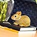 Safari Ltd. Eastern Cottontail Rabbit Baby Figurine - Detailed 4.25