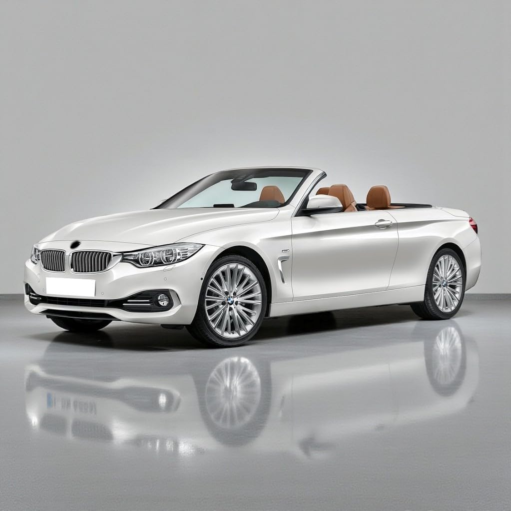 Kaput Amortisör Takımı 51237239233 BMW 4 Serisi F33 Cabrio ile uyumlu 2014-2020