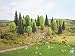 Walthers SceneMaster HO Scale Mixed Pine & Deciduous Trees/Flat Base (25-Pack)