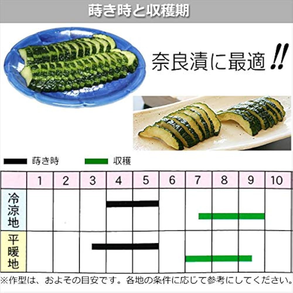 信州産　乙女瓜　ご確認用です♪ 乙女縞瓜｜野菜種(タネ)・苗の専門店 高木農園