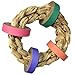 Super Bird Creations SC214 Seagrass Ring, Small Animal Toy 5