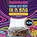SPORE SORCERY 4 LB All-in-One Grow Bag: Up to 32oz of Mushrooms! Nutrient-Enhanced, Injection Port, Just Add Your Own Spores & Grow Like Magic (4 LB Bag)