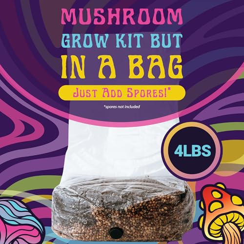 All-in-One Large Mushroom Growing Kit | 4 lb | High Yields | Mycology Supplies with Injection Port | Nutrients Included | Spores Not Included