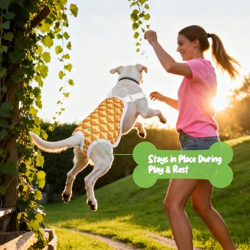Image of 3 Pack Washable Female Dog Diapers with Adjustable Suspender, Reusable Sanitary Panties for Dogs in Heat, Leak-Proof Design for Small Dogs