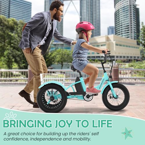LILYPELLE Electric Tricycle for Youth, 250W Aluminum Frame