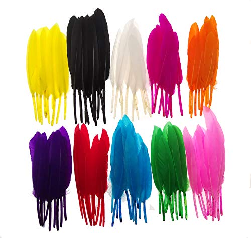 Dxeud Colorful Goose Feathers 100pcs/pack/ (10pcs X10colors) (4-6 inch)