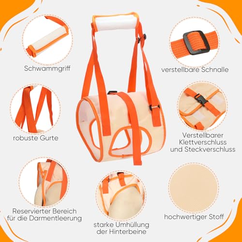 Tragehilfe Hund Groß, Hundegeschirr für Hinterbeine, Hundetrage für Hunde mit Verletzungen, nach Operationen oder Arthritis, Stabil & Atmungsaktiv, Einfach Anzulegen,Hunderollstuhl Alternative XL