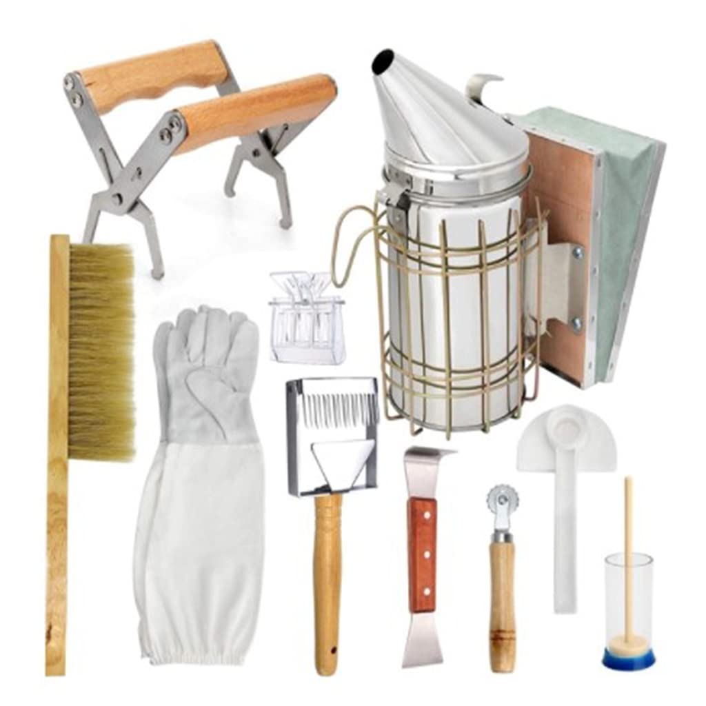1 juego de suministros de apicultura kit de herramientas de acero inoxidable cepillo para ahumador guantes raspador clip accesorios suministros de apicultura kit de herramientas