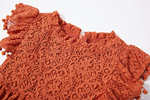 Csbks Toddler Girls Cute Pompoms Lace Floral Elegant Retro Swing Party Dress Reddish-Brown 100 #TOP2