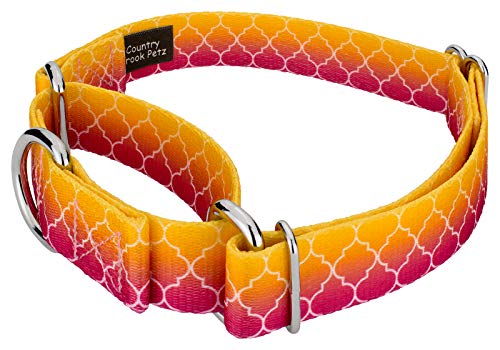 Country Brook Petz - Fabulous Ombre Martingale Dog Collar And Leash - Abstract Collection With 5 Geometric Designs (1 Inch, Large) #TOP2