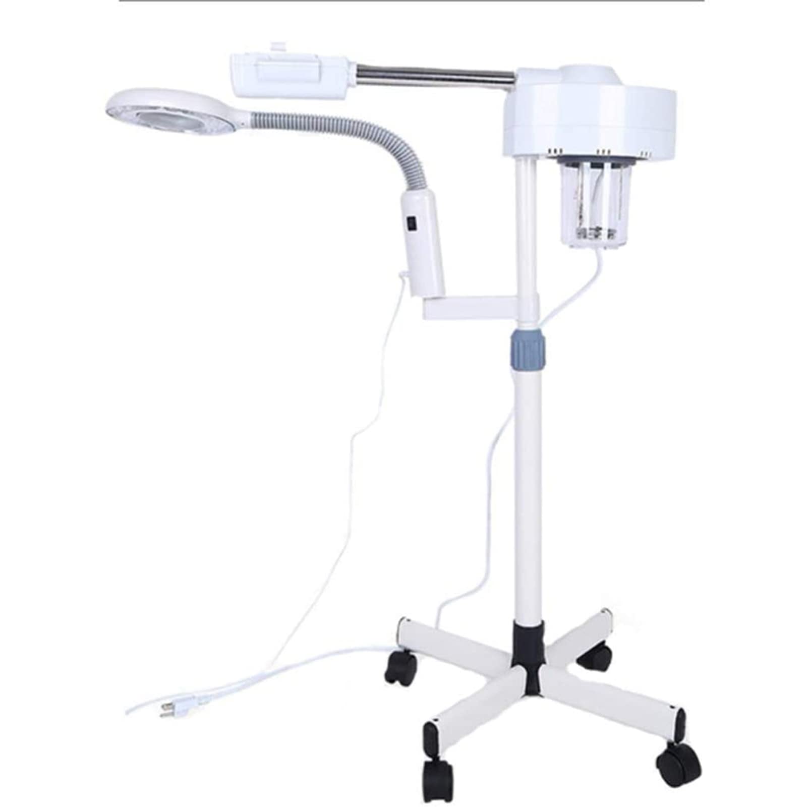 RSGK Vaporizzatore Facciale Professionale 2 in 1, Vapore Facciale Caldo E Freddo con Lampada a LED con Ingrandimento 5X, Umidificatore per Salone Spa Multifunzione Attrezzatura di Bellezza