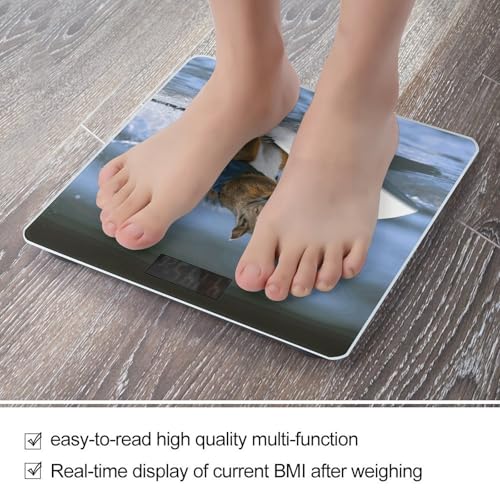 Báscula Digital de Baño con Pantalla LED Clara y Vidrio Templado miniatura 5
