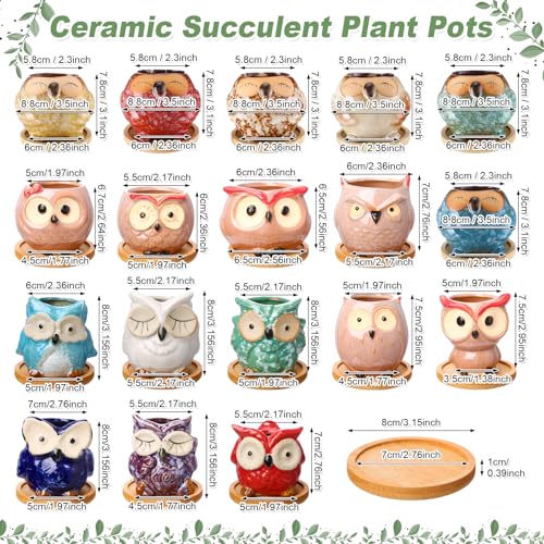 Pots de fleurs en céramique émaillée et plateaux en bambou véritable - 3