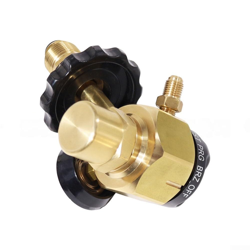 Druckregler 500 PSI Lecktest Schnellprüfung Funktion