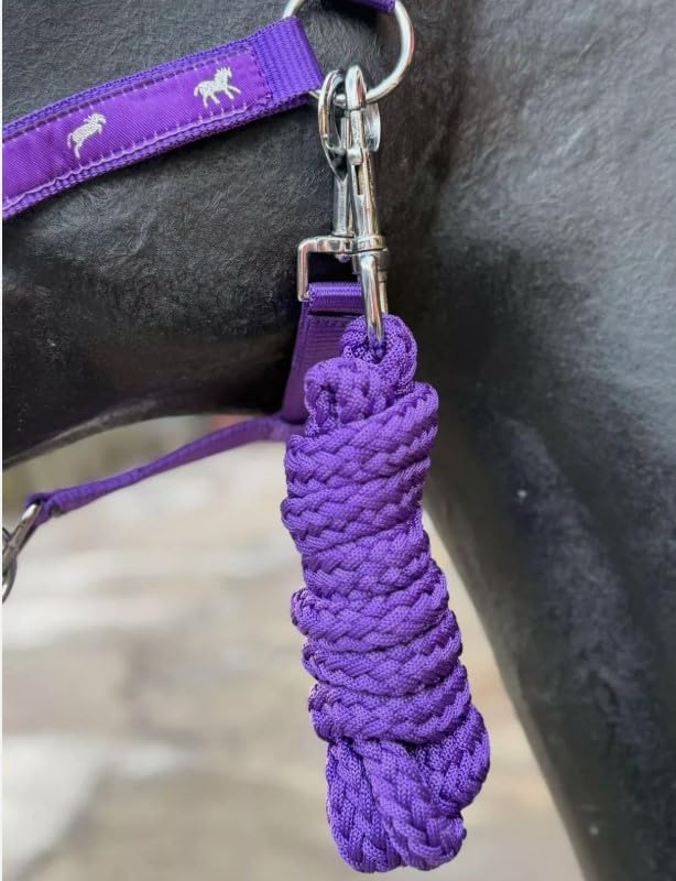 Horse Headcollar and Lead Rope Set, Pink with Horse Print Pattern, Padded Nubuck (Purple, Mini Shetland) - Image 4