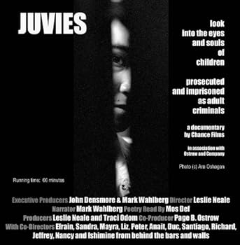 DVD Juvies Book