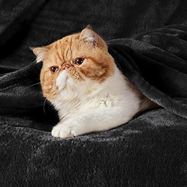BEDSURE Пушистое флисовое одеяло, теплое, зимнее, мягкое, одеяло для дивана XXL, одеяло для дивана, большое уютное одеяло для гостиной, покрывало для дивана, 220 x 240 см, черный цвет