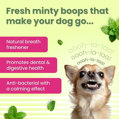 Image of BARK Out Loud - Dental Treats | Brush Shape Dog Chews | Removes Plaque /Tartar | Fresh Smell | Oral Care Gluten Free| Chicken Dog Treats- 200 GMS (100 gm x 2), All Life Stages, Stick