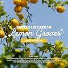 Cleancult - Lemon Verbena - All Purpose Cleaner - Refillable Aluminum Bottle - Cleaner Spray that Removes Dirty & Grime - 16 oz - 1 Pack