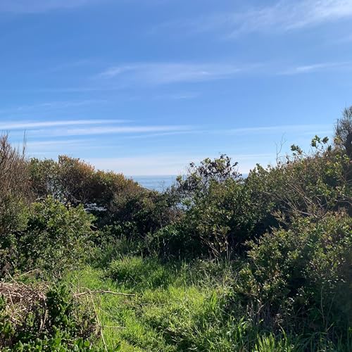 S4 Ep38: Is There Special Energy Around Your Bday? (#213)