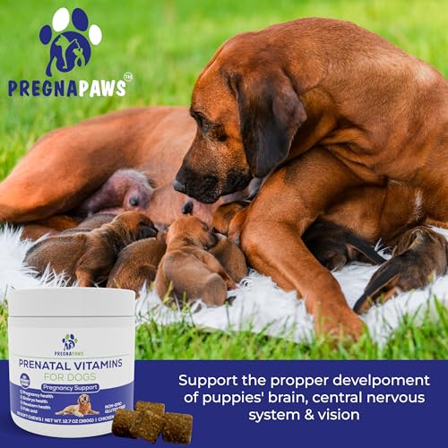 Dog Prenatal Vitamins - Advanced Prenatal Supplement for Pregnant and Nursing Dogs - Supports Healthy Pregnancy, Puppy Development & Lactation - Rich in Folic Acid, Iron & Calcium - 90 Soft Chews - Image 3