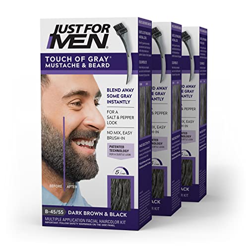 Just For Men Touch of Gray
