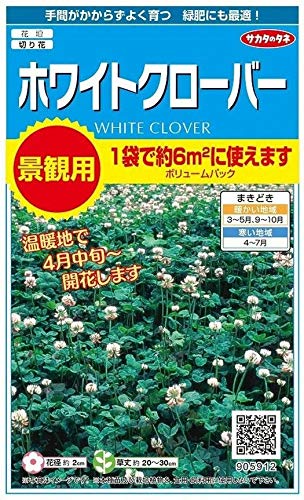 TJ^̃^l iϗp zCgN[o[