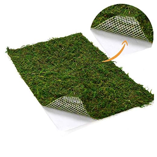 BYHER Dried Moss Mat for Wedding Birthday Party Fairy Garden Decorations, Dark Green (Green - 14" X 9")