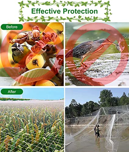 Questa Rete Anti-Uccelli per Giardini e fattorie - Protezione Resistente in Nylon per stagni, tralicci e Colture - 35x35 m (115x115 Piedi) - Maglia da 2 cm - Protezione Efficace per Alberi e