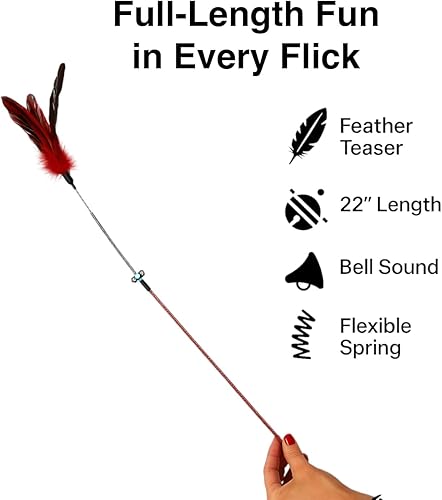 Miniatura 4 de Varita de juguete de plumas para gatos, juego de 5 varitas interactivas con plumas, diseño de resorte duradero, perfecto para divertirse en el